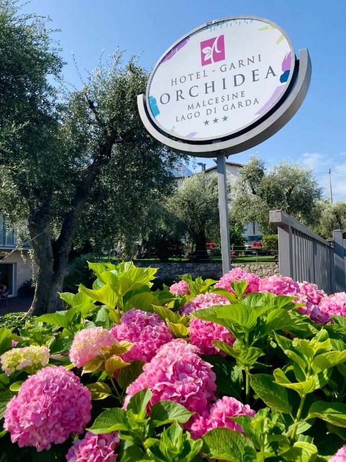 Hotel Garni Orchidea 말세진느 외부 사진